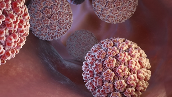 خطرناک مثل HPV/ درباره این ویروس خطرناک بیشتر بدانیم 